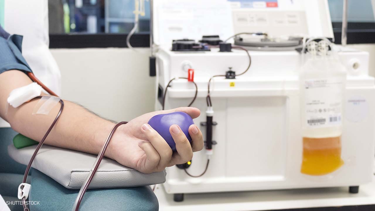 Family asks for blood from COVID survivor to help loved one