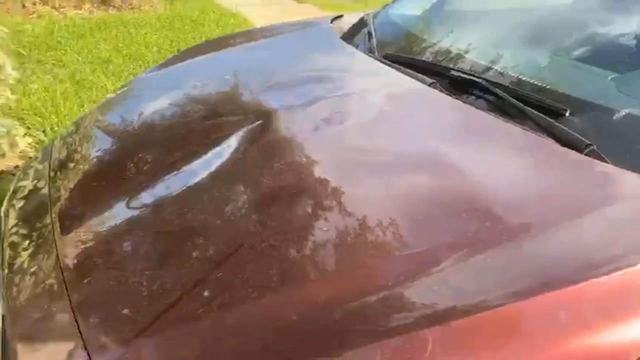 Woman stuck with bill after man body slams car hood