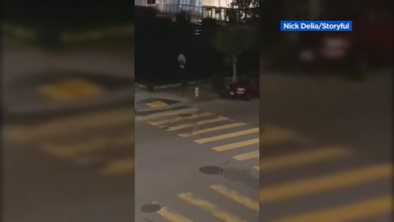 VIDEO: Coyotes howling howling into the night in SF