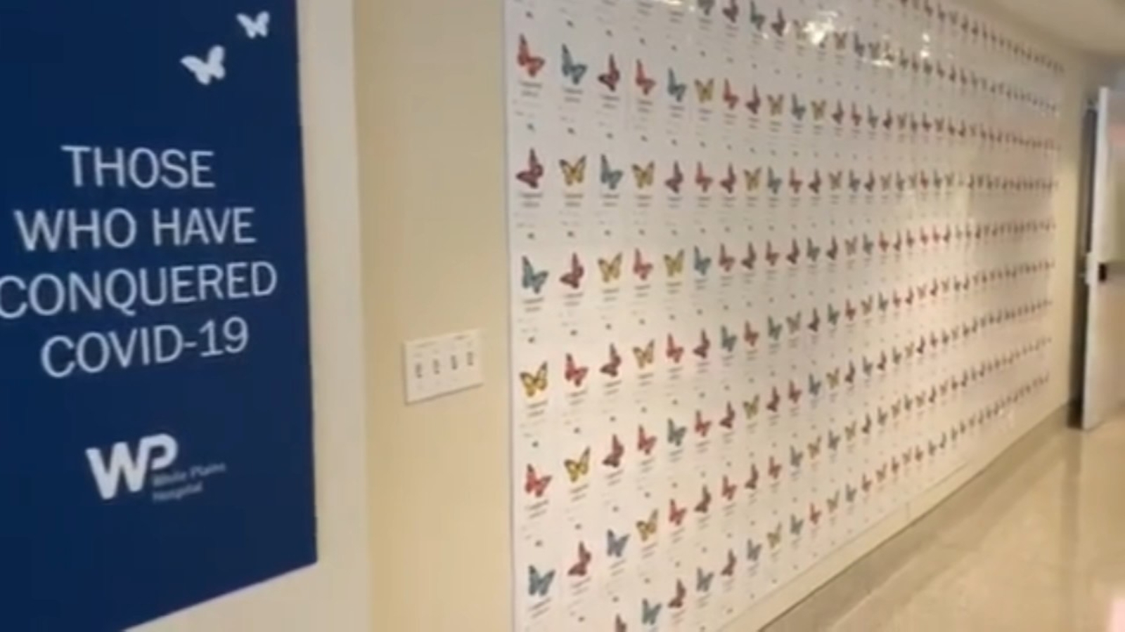 Coronavirus New York White Plains Hospital creates 'Butterfly Wall' to