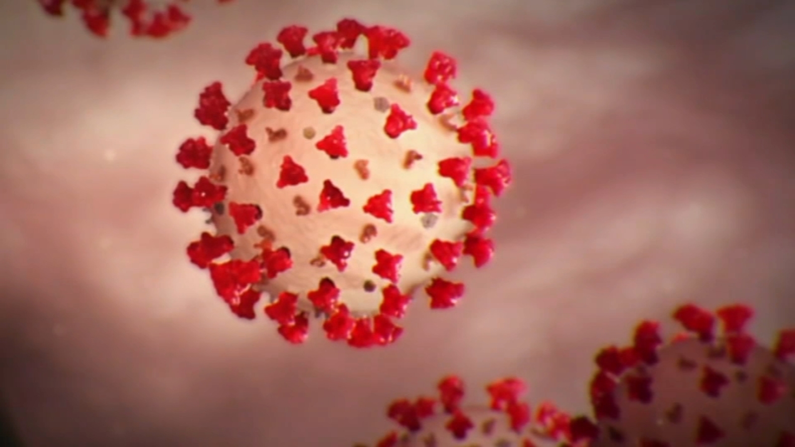 Illinois coronavirus cases Families question if nursing home COVID19