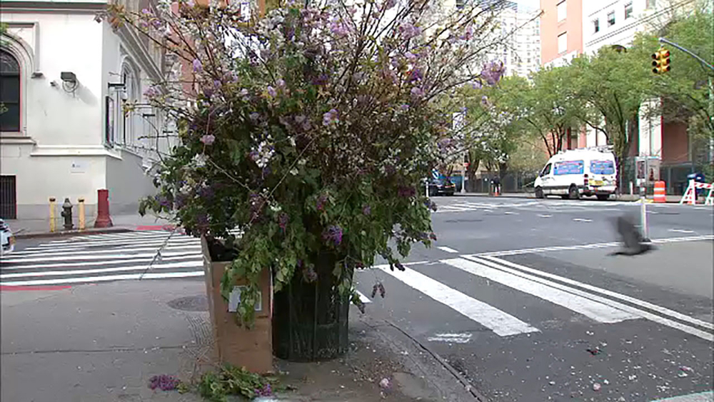 Designer's 'flower flash' brighten up NYC streets