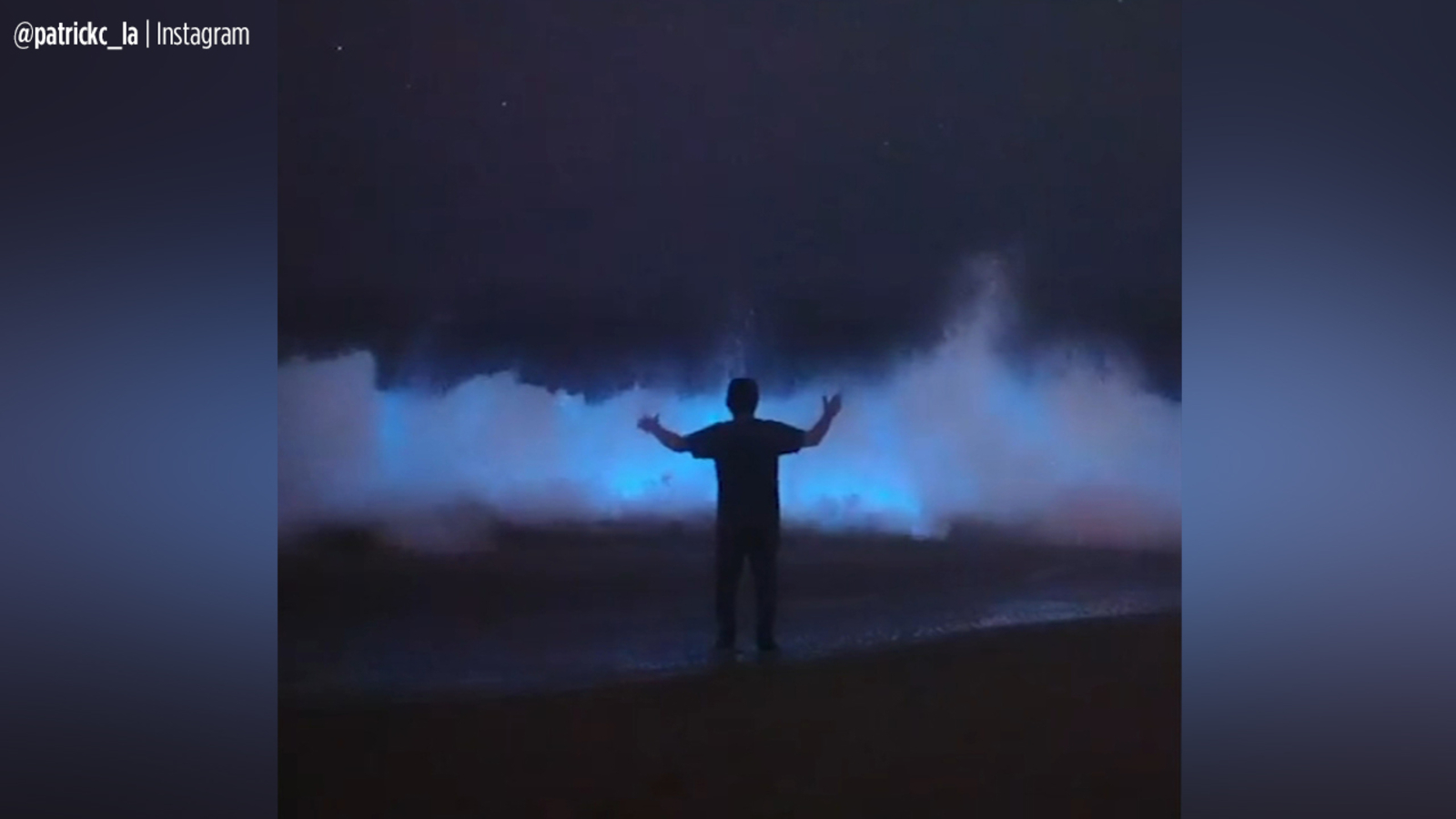 The Bioluminescent Waves are Back at Newport Beach, Tours Tonight -  myBurbank