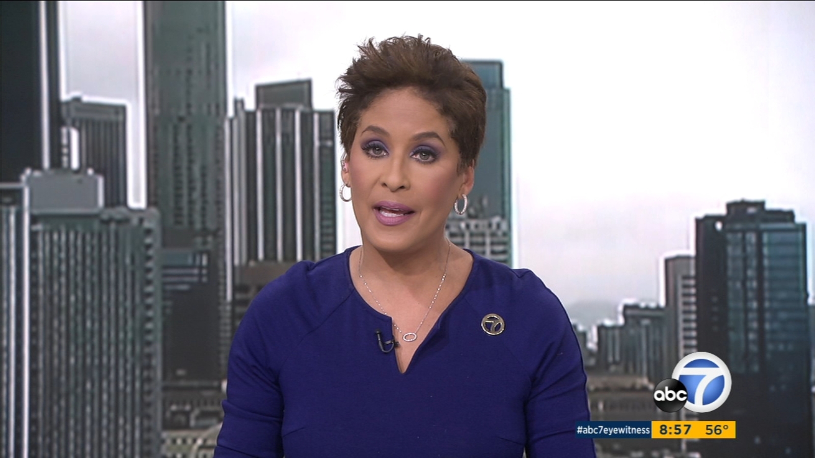 Man arrested after breaking into Disneyland amid temporary closure