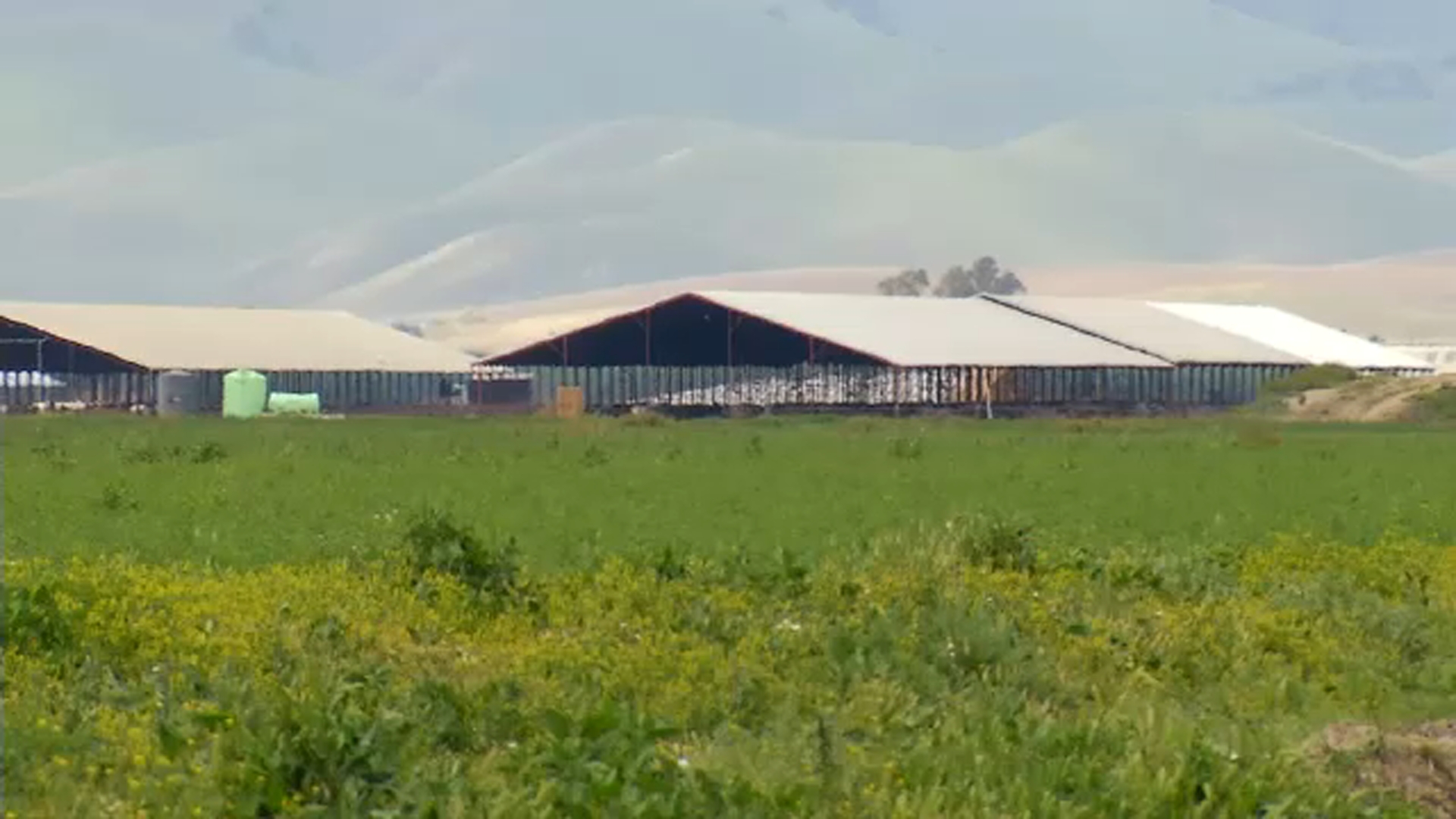 Deputies investigating homicide after robbery at Merced Co. dairy