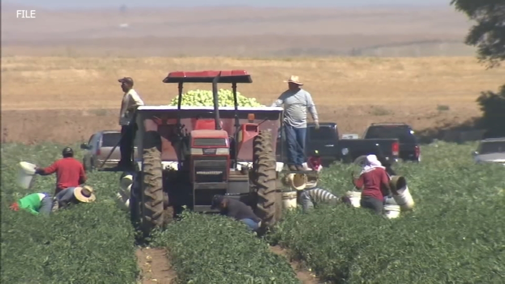 Organizations donate face masks, hand sanitizer for Valley farmworkers