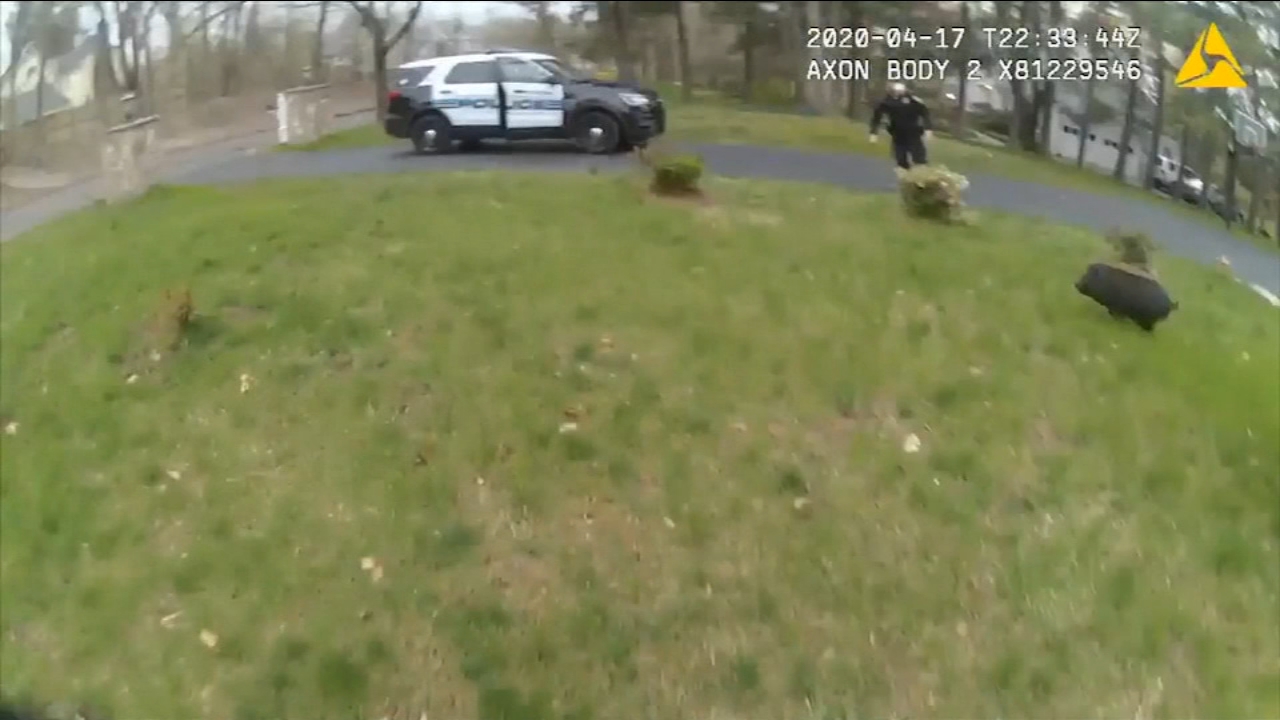 Pig leads officers in CT on 45 min chase