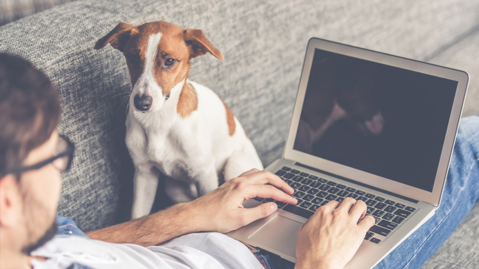 Have you noticed behavior changes in your pet since you've been working