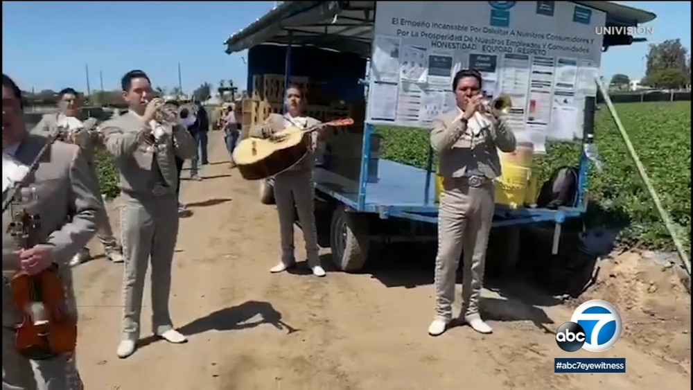 Mariachi band performs for farmworkers in Oxnard