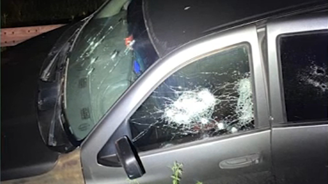 Woman shot in arm while driving