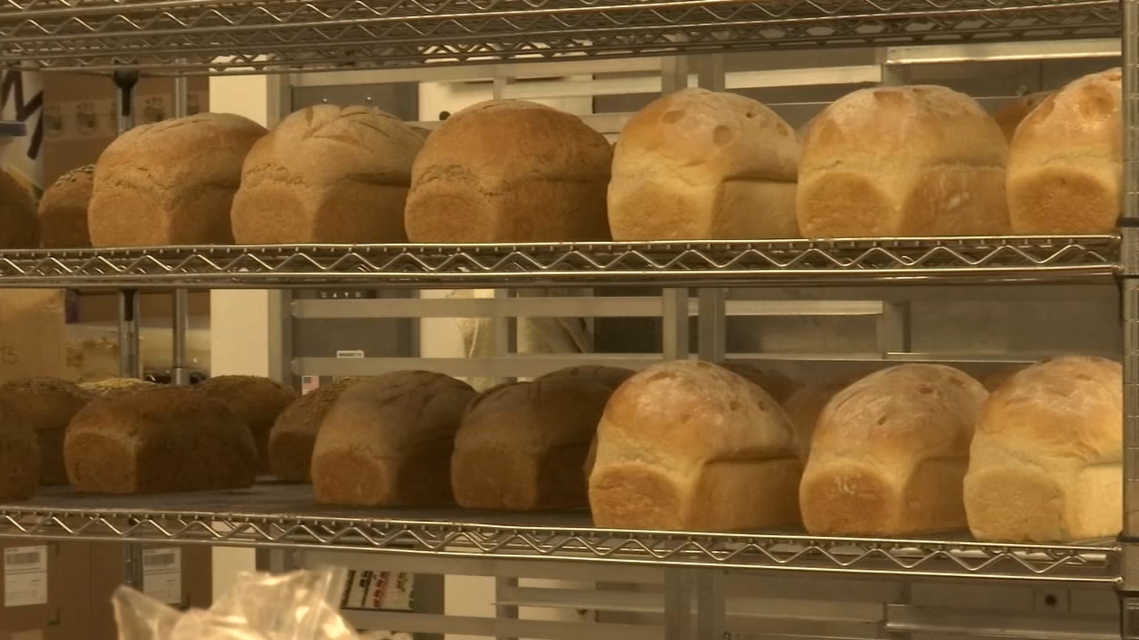 Coronavirus Great Harvest Bread Company supports Dorcas Food Pantry