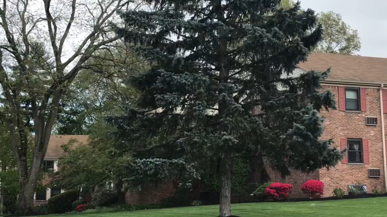 Latest snow and cold on record grip New York City