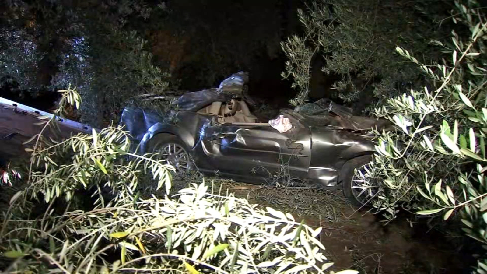 Three women dead after early morning crash near Exeter