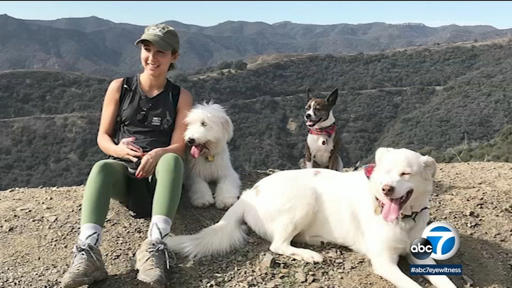 Paul Shaffer's daughter fosters puppies