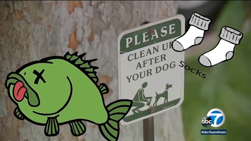What's that awful smell hanging over SoCal? We found the answer