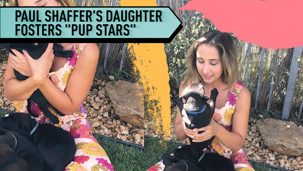 Paul Shaffer's daughter Victoria and her foster puppies.