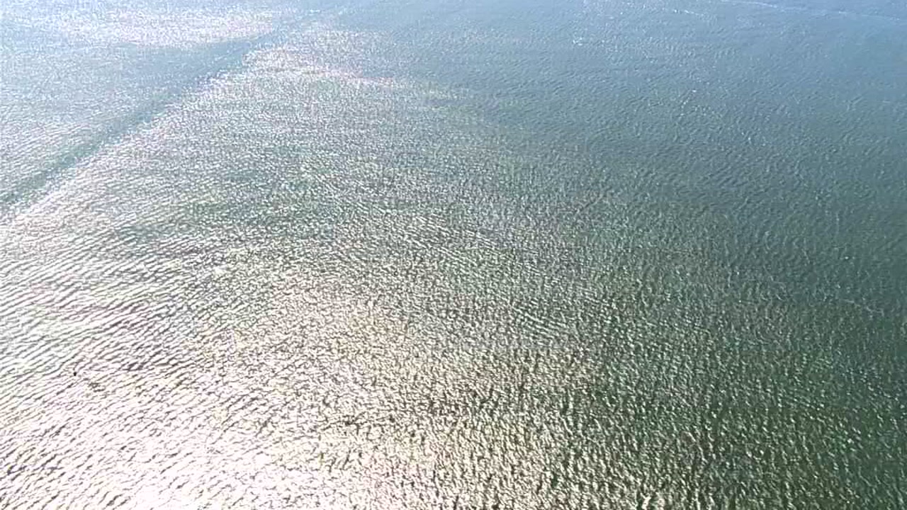 SKY7 searches for wayward whale in San Francisco Bay