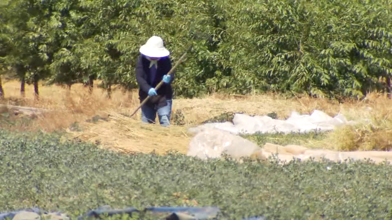 6 struggling Asian farmers in Valley get financial assistance