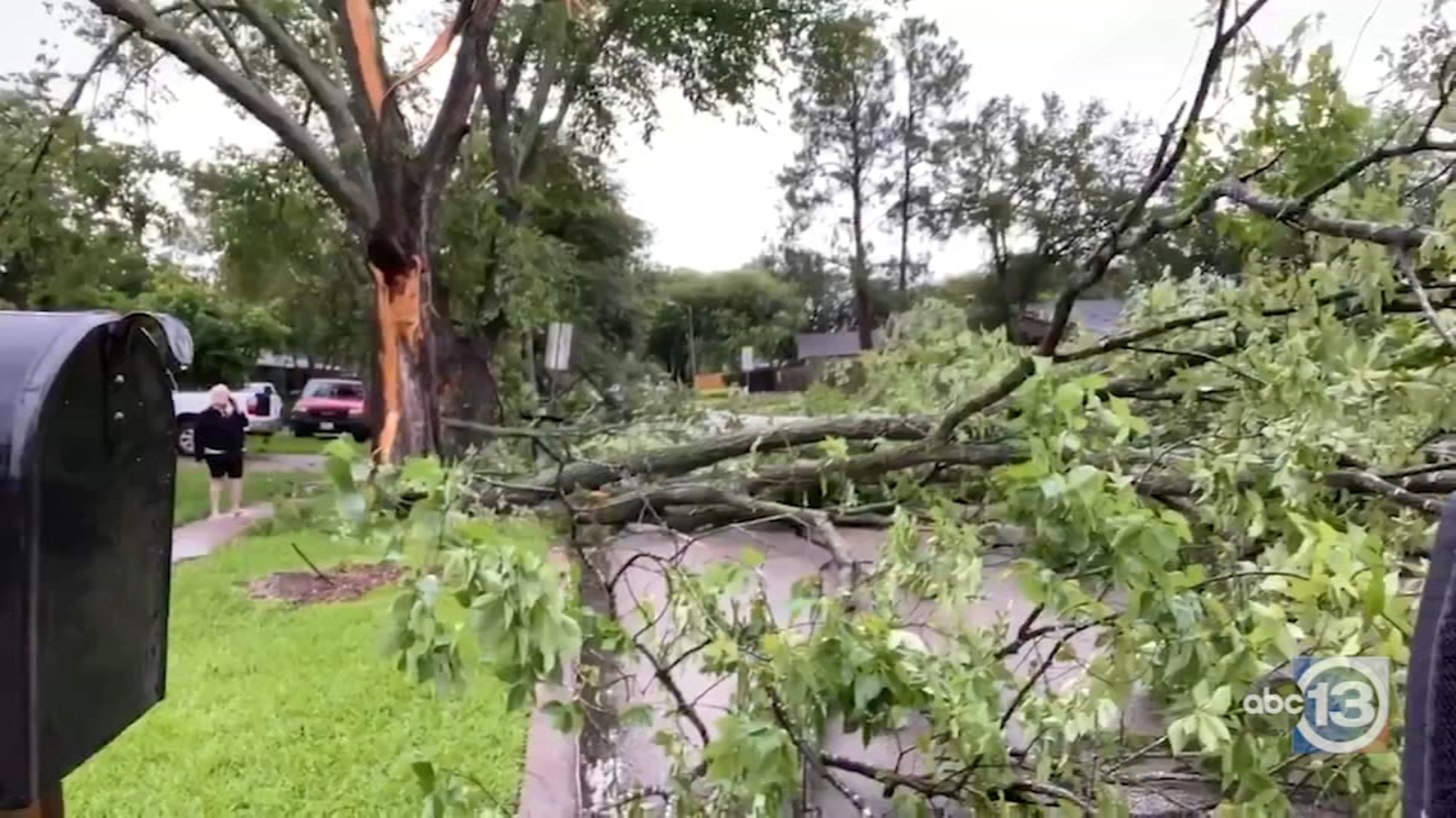 Power outages, fallen trees, and minor flooding reported across the Houston area - ABC13 Houston