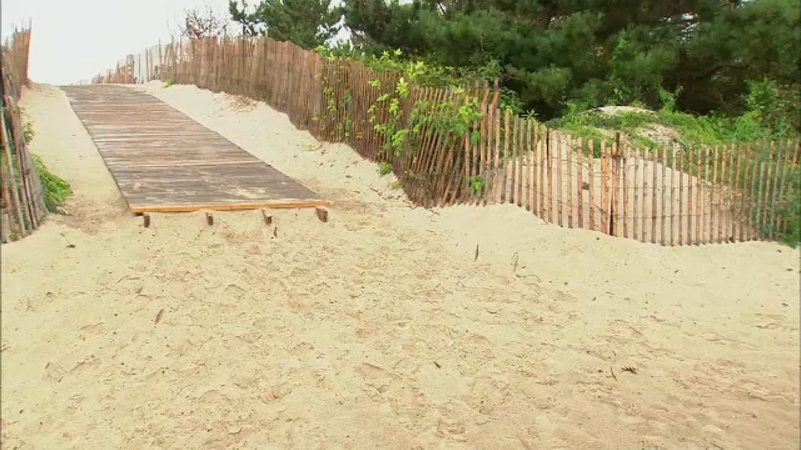 Beach on Long Island closed due to elevated bacteria levels