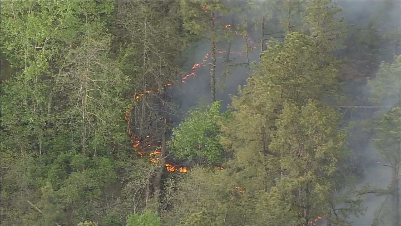 Crews battle forest fire in Winslow Twp., N.J.