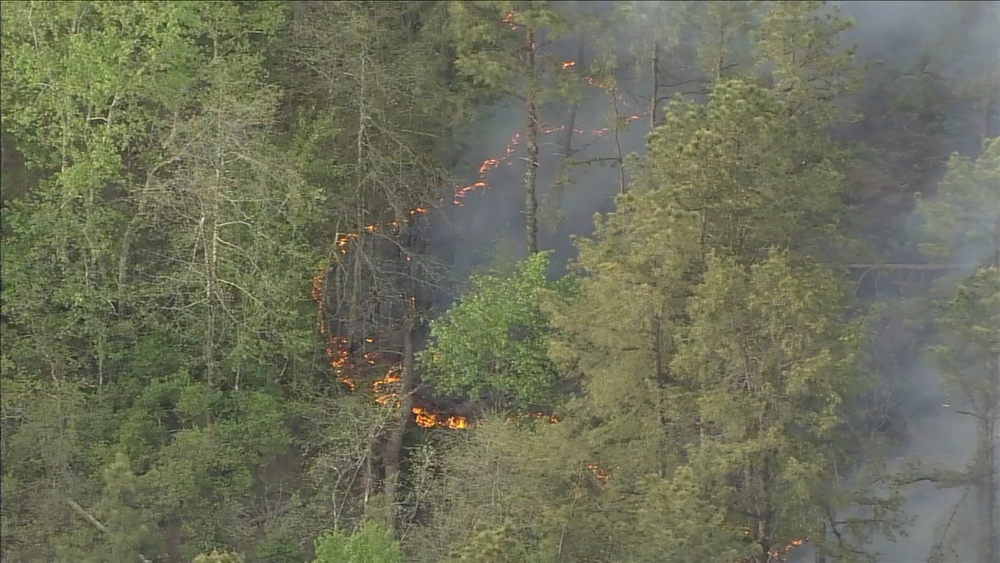 Crews battle forest fire in Winslow Twp., N.J.