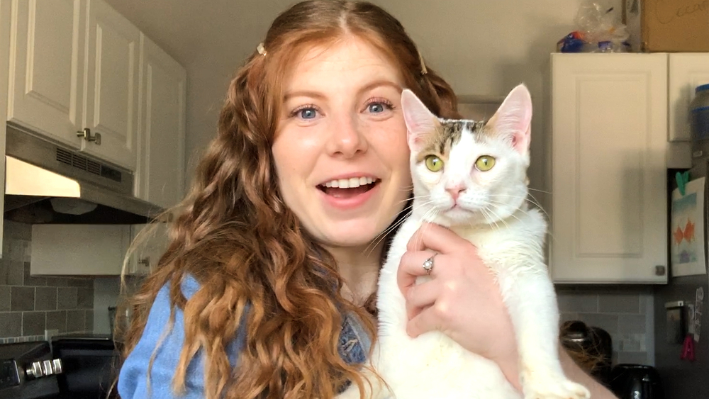 I adopted a cat during the coronavirus pandemic