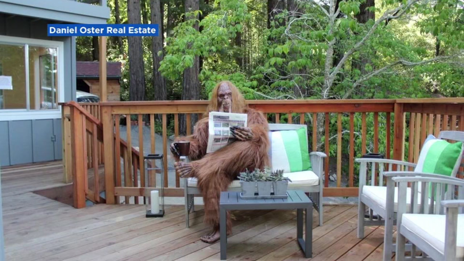 'Homebuying is an adventure' Bigfoot found sheltering in place at