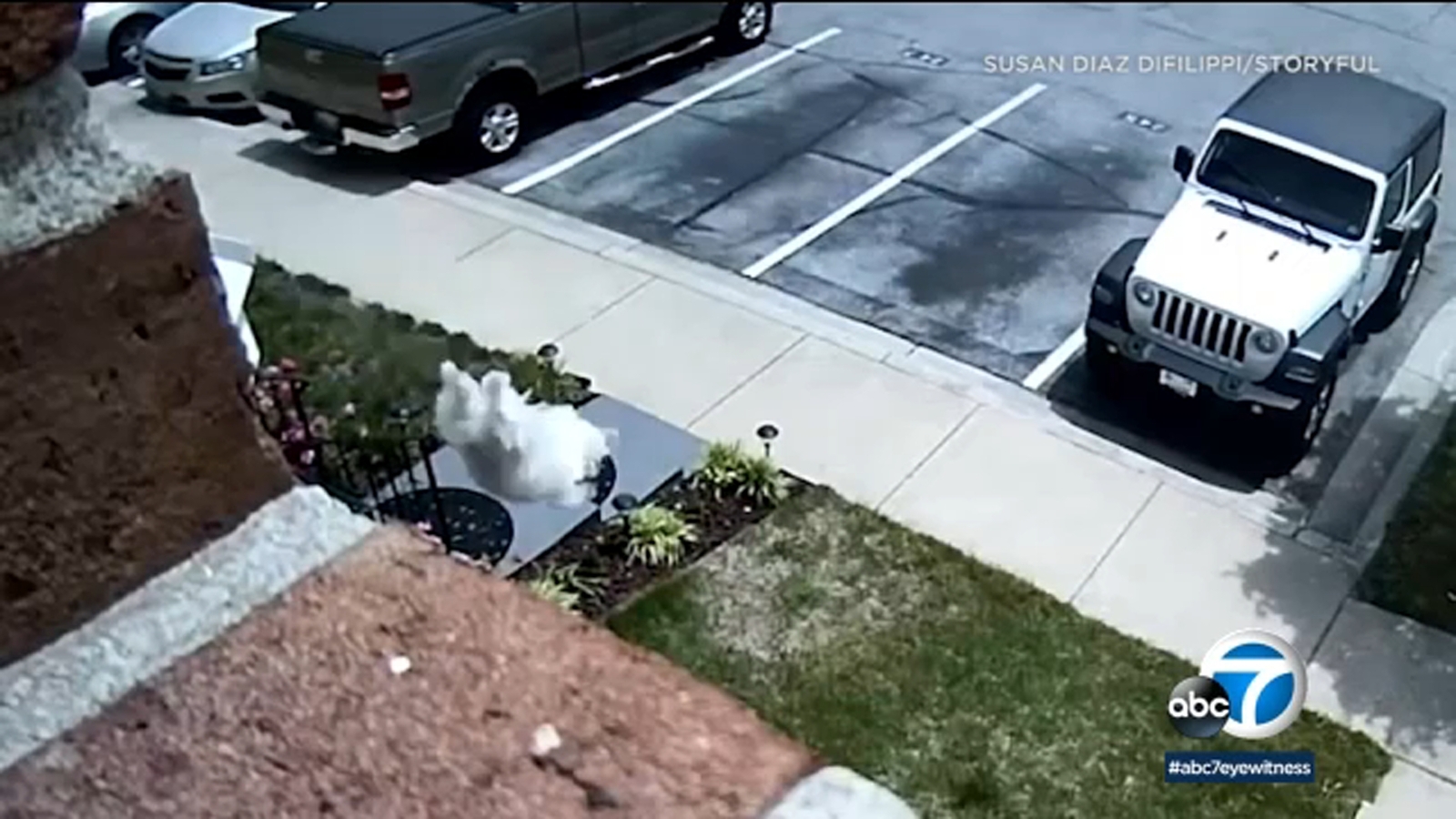 Caught on camera Small dog jumps out secondfloor window, walks away ABC13 Houston