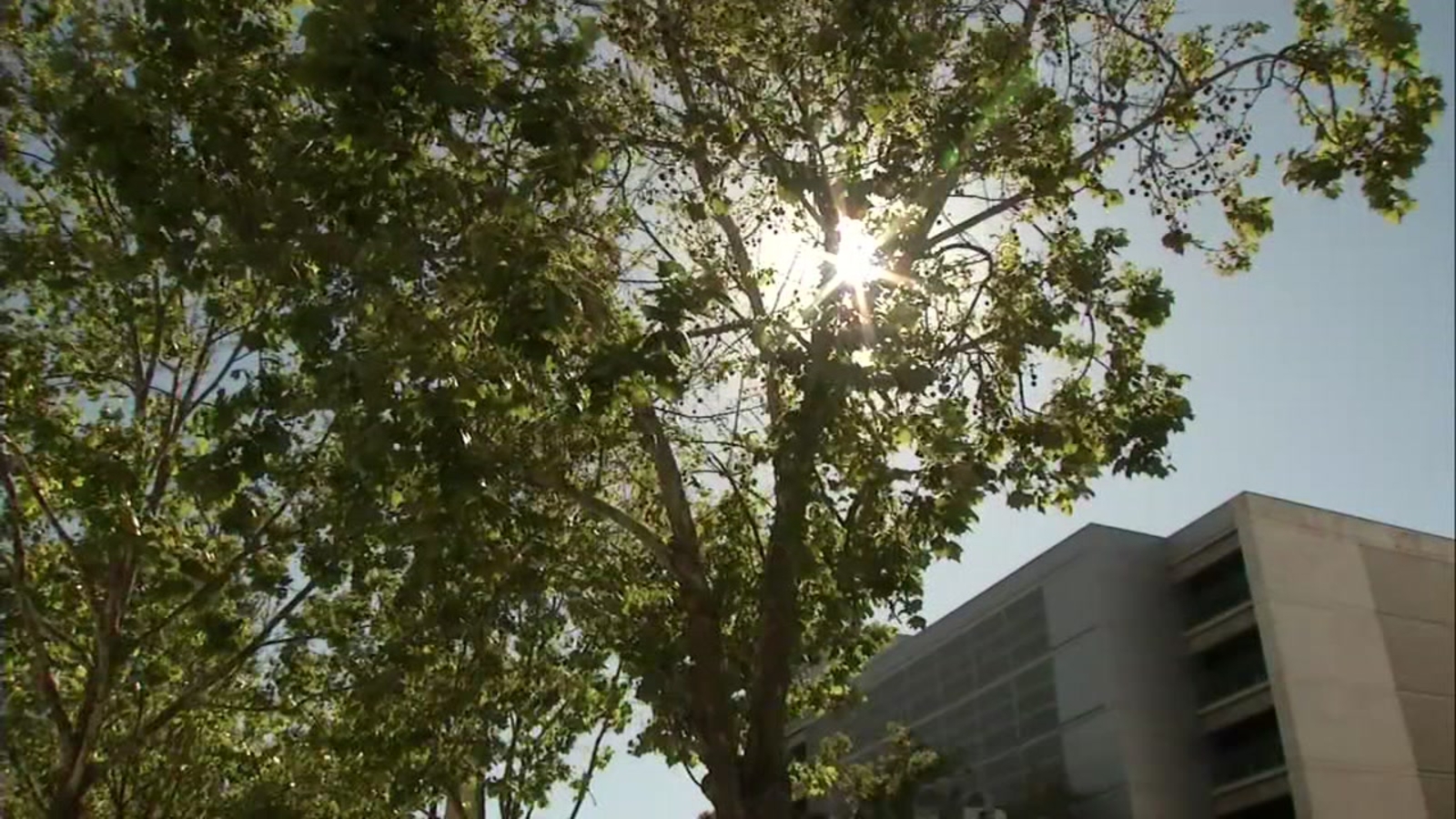 Bay Area heat wave: South Bay residents brace for another day of triple ...