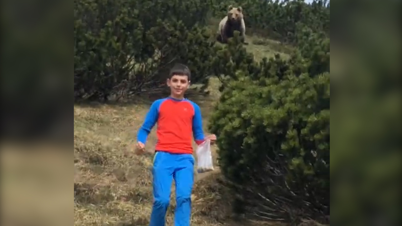 Video shows bear following boy during a family hike in Italy ABC13