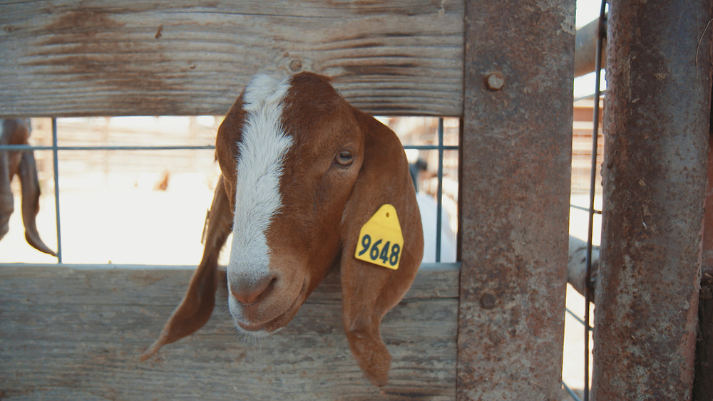 Community supports students in Ag