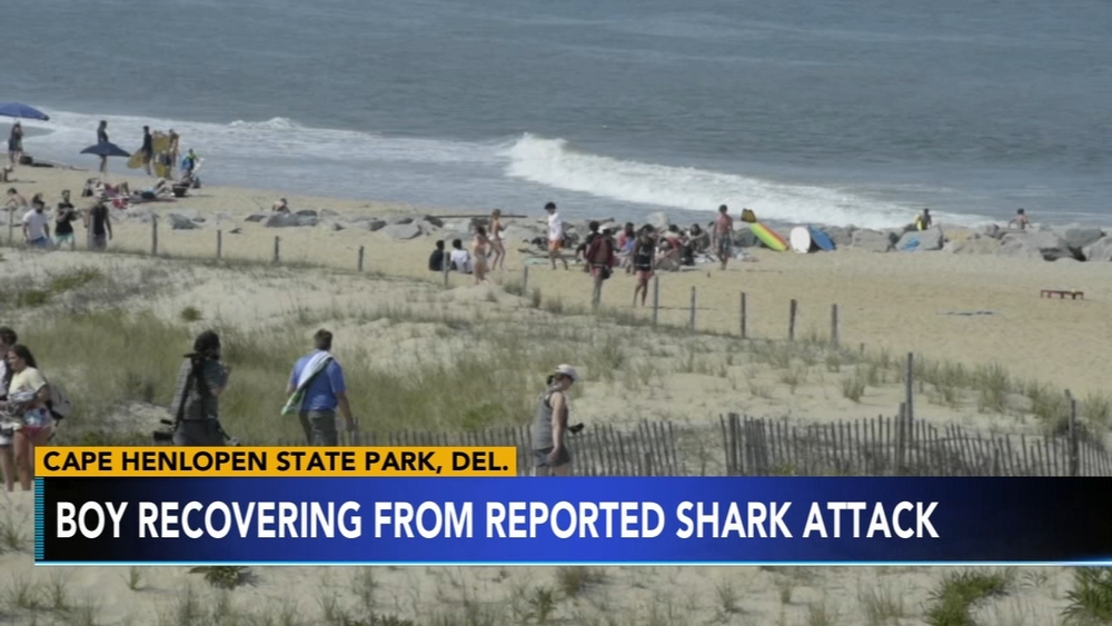 Boy, 12, injured in apparent shark attack