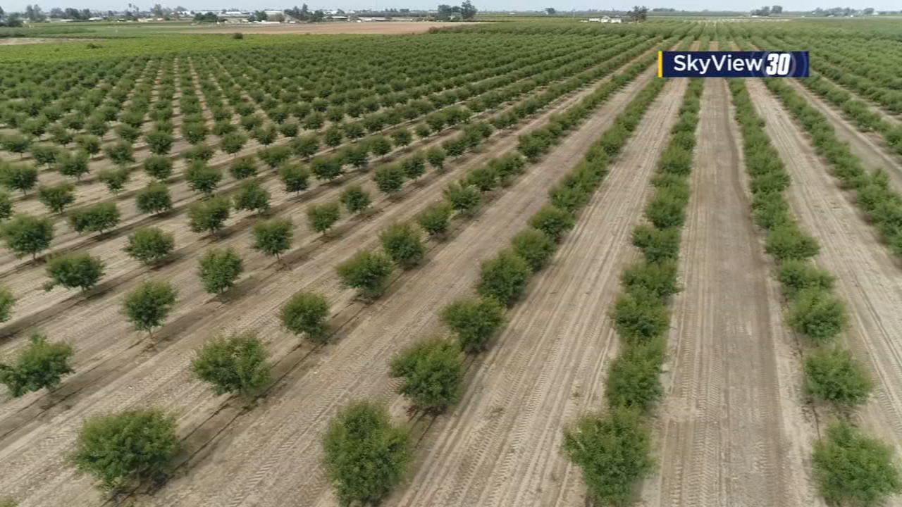 Fresno County Fruit Trail ready for visitors