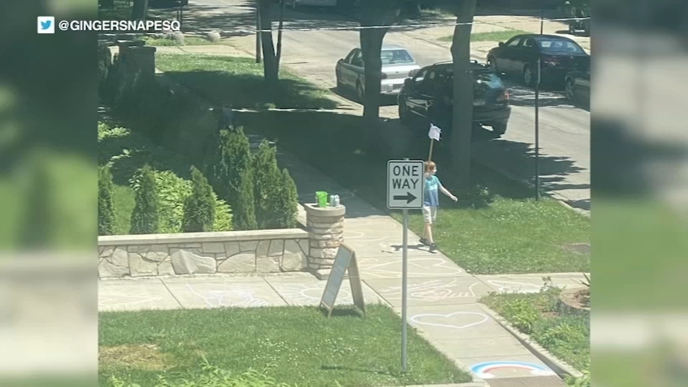 Young boy protests alone in Chicago's South Shore for racial equality