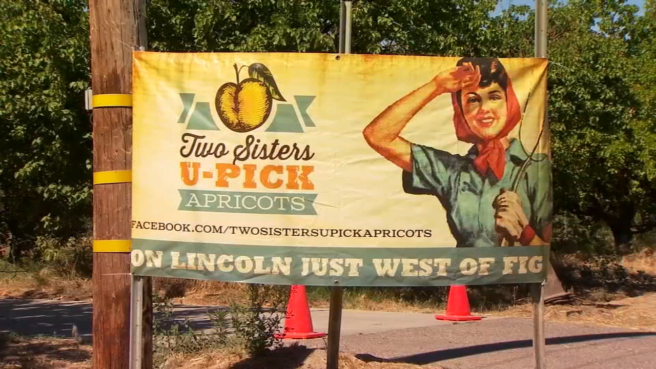 Customers want fresh fruit and fresh air