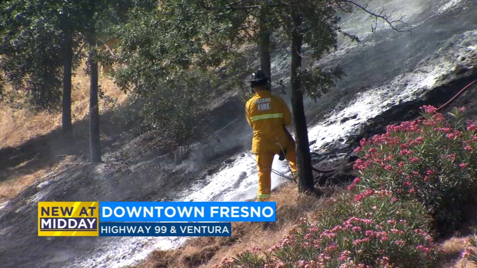Firefighters investigate grass fire along Highway 99 in Fresno as