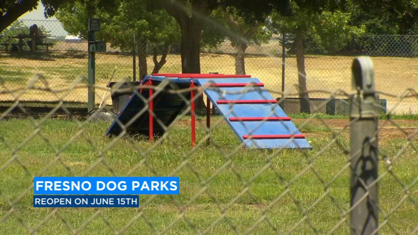 Fresno dog parks will reopen Monday with changes, city officials say