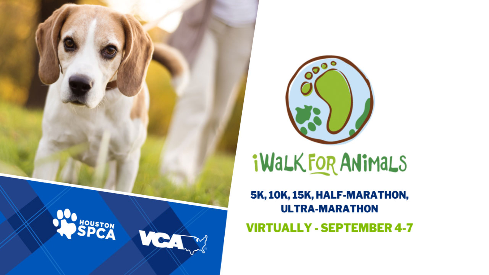 here-s-how-to-sign-up-for-the-spca-virtual-iwalk-for-animals-2020