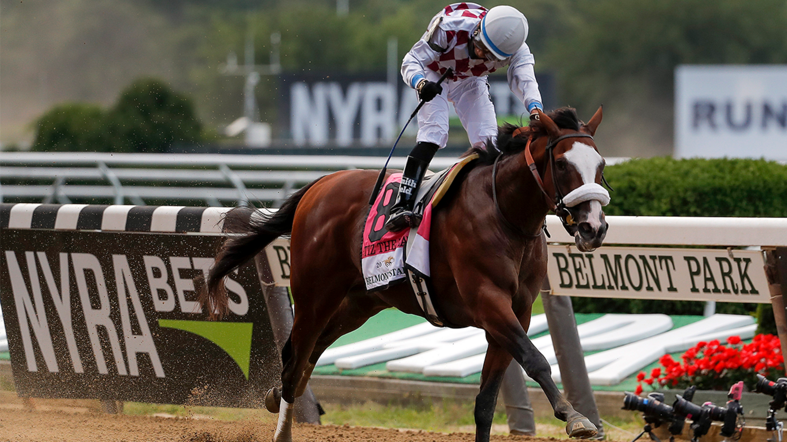 Reopen New York: NY-bred Tiz the Law wins barren Belmont Stakes - ABC7 New  York