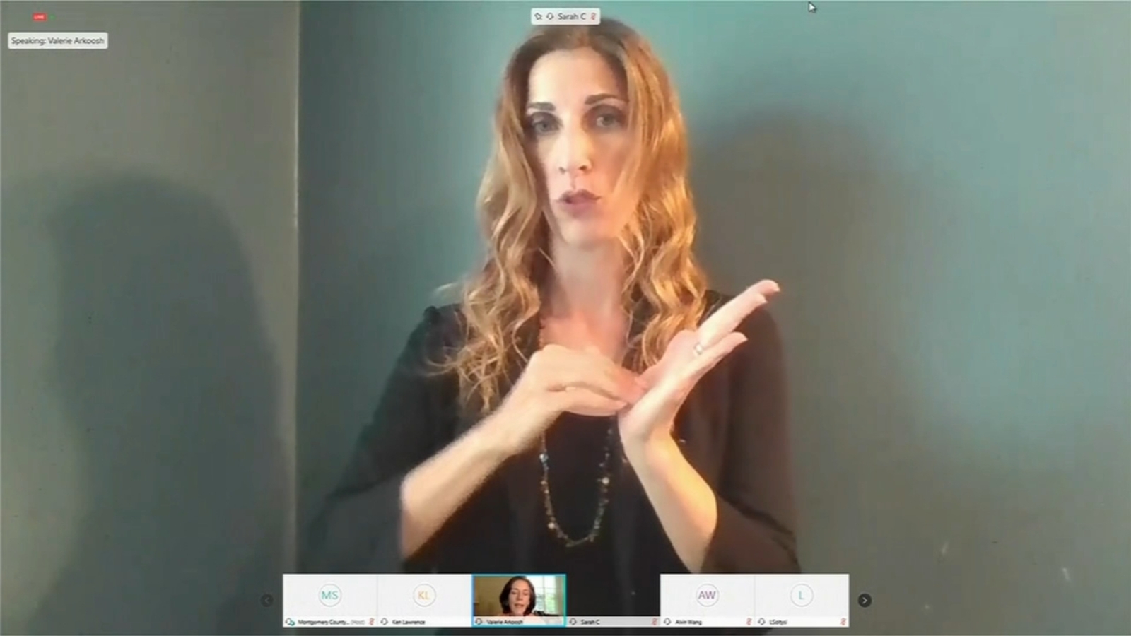 How sign language interpreters are using teamwork during the COVID19