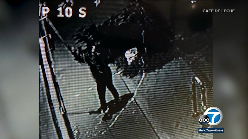 Woman caught on video defacing Martin Luther King mural in Highland Park