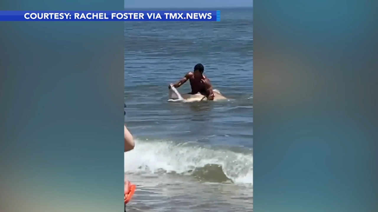 Caught on video: Fishermen catch shark at Cape Henlopen State Park Beach
