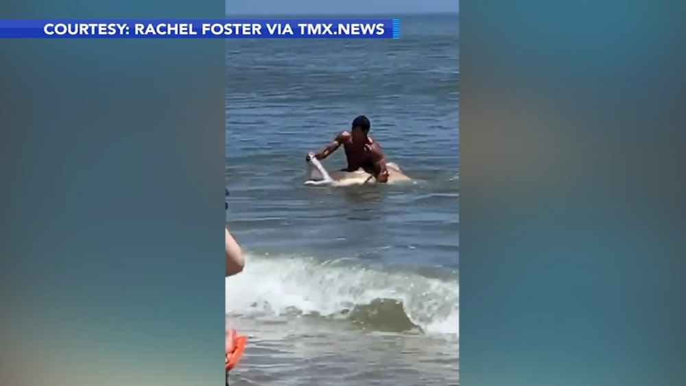 Caught on video: Fishermen catch shark at Cape Henlopen State Park Beach