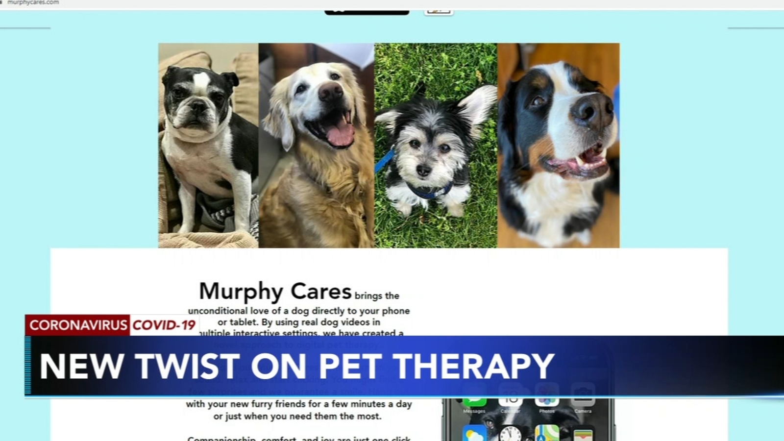 New twist on virtual pet therapy Murphy Cares uses videos of real dogs