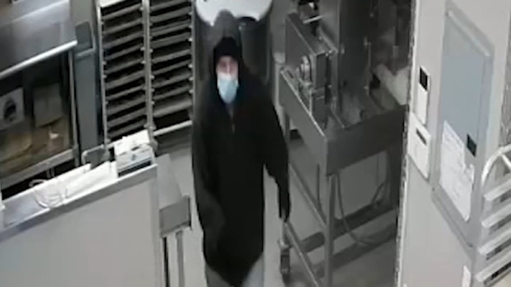 Serial burglary suspect caught on camera in Staten Island