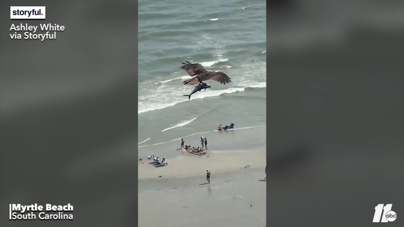 Download Carolina keramik myrtle beach Free