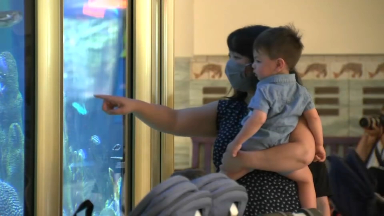 Shedd Aquarium, Willis Tower Skydeck reopen