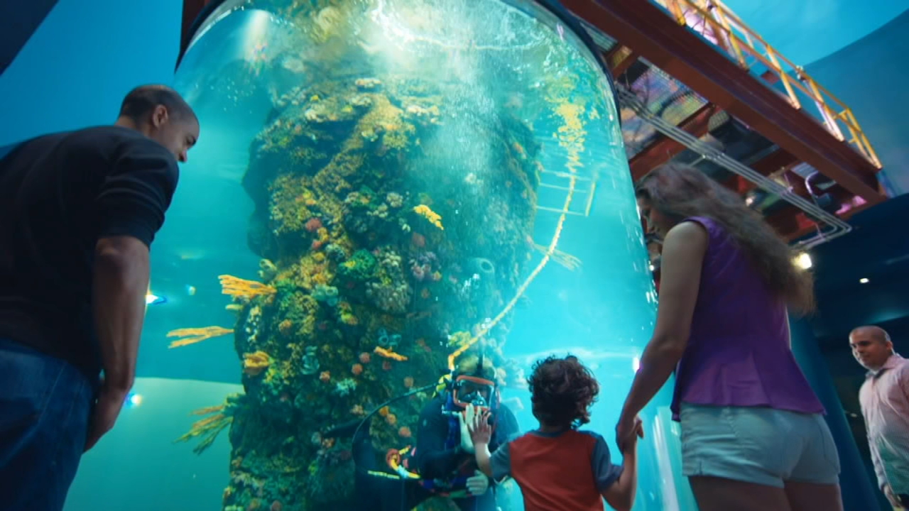 Watch Moody Gardens on Check This Out, Houton! (7/4/20)