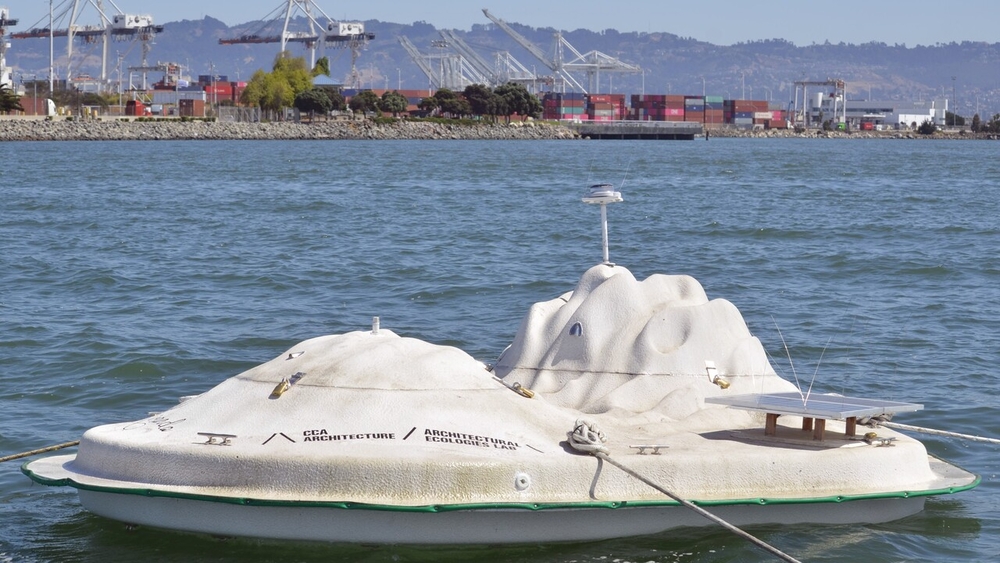 'Upside down floating reef' in the SF Bay could change ecology of shoreline